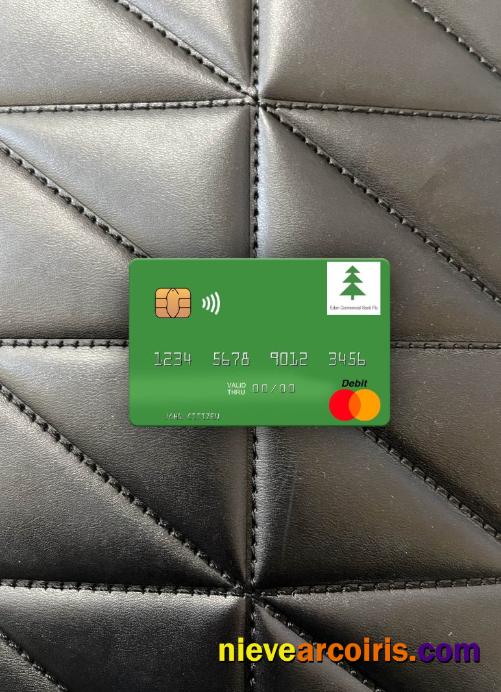 South Sudan Eden Commercial Bank mastercard photolook